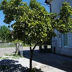 With Free Parking *